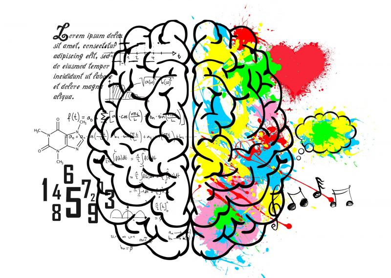 Neurociencias del Lenguaje Secretaría de Posgrado FFyL